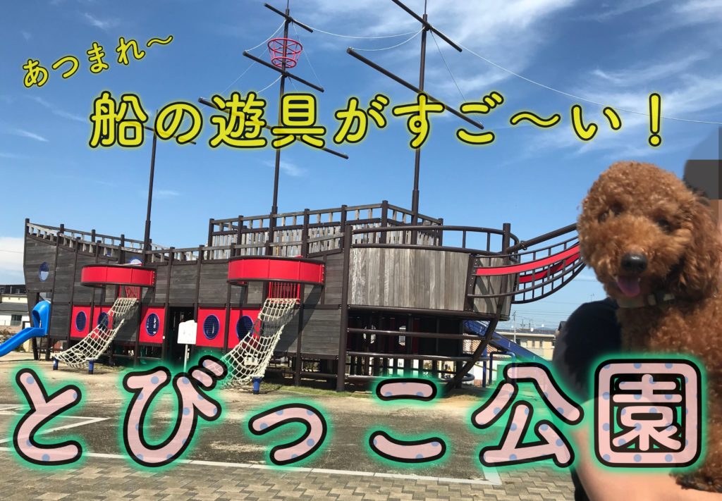 大きな船の遊具で大人気 堀出前中央公園 とびっこ公園 でお散歩 浜松市の犬連れお出かけ観光ガイド むぎさんぽ