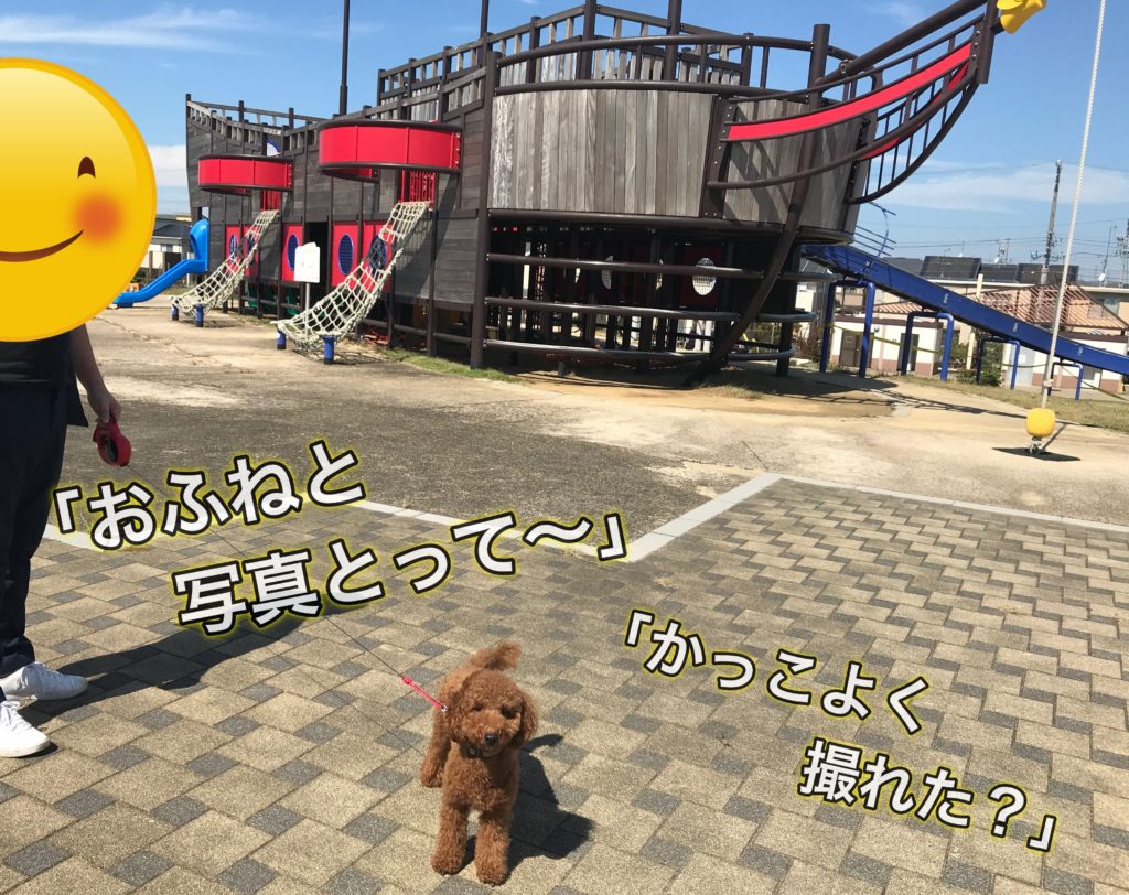 大きな船の遊具で大人気 堀出前中央公園 とびっこ公園 でお散歩 浜松市の犬連れお出かけ観光ガイド むぎさんぽ