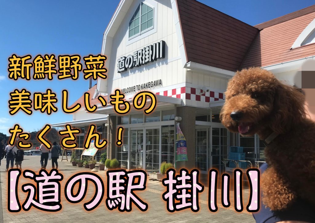 掛川市の 道の駅掛川 新鮮野菜や休憩 食事 お土産にも 浜松市の犬連れお出かけ観光ガイド むぎさんぽ